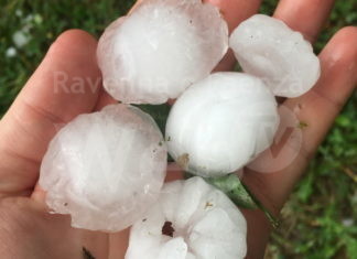 Maltempo, Coldiretti: “Grandinate triplicate nell’estate 2021, gravi danni sulle coltivazioni”