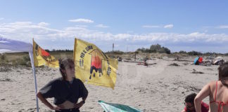 “Carovana ambientalista” ieri a Lido di Dante per la campagna “Per il Clima – Fuori dal Fossile”