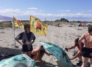 “Carovana ambientalista” ieri a Lido di Dante per la campagna “Per il Clima – Fuori dal Fossile”