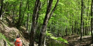 RavennaFestival: Carovana creativa sul Cammino di Dante da Firenze a Ravenna