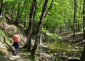 RavennaFestival: Carovana creativa sul Cammino di Dante da Firenze a Ravenna