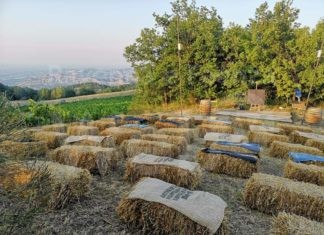 “Cabaret diVino” Tre serate di cabaret a Brisighella 30-31 luglio e 1 agosto