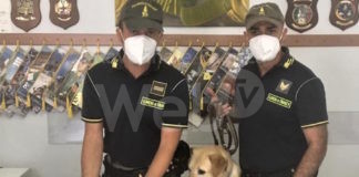 Guardia di Finanza: arrestato dalle unità cinofile presso la stazione ferroviaria un pusher senegalese