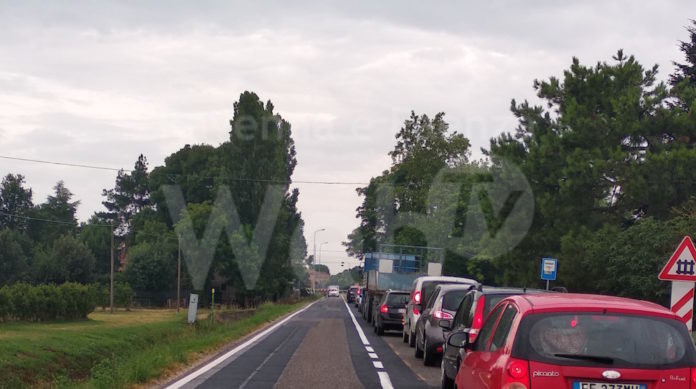 IMG_20210727_081726 (3) (1)