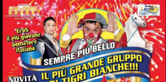 Spettacolo con tigri bianche: l’Enpa e l’associazione Succede di Tutto contro il circo a Lido di Dante