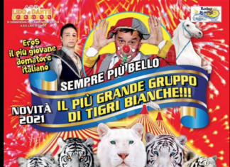 Spettacolo con tigri bianche: l’Enpa e l’associazione Succede di Tutto contro il circo a Lido di Dante