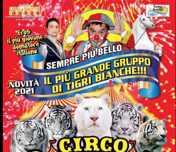 Schermata 2021-07-22 alle 14.19.55