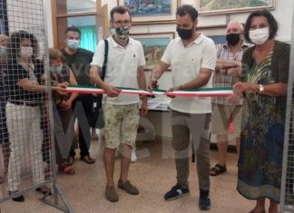 Riaprono i centri sociali Auser con la mostra delle conchiglie a Casal Borsetti