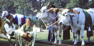 Il Rione Verde racconta 60 anni della sua storia in un libro
