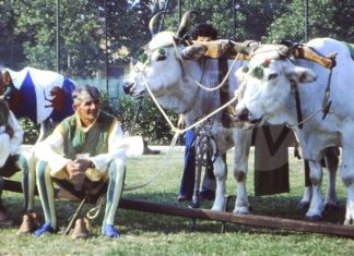 Il Rione Verde racconta 60 anni della sua storia in un libro