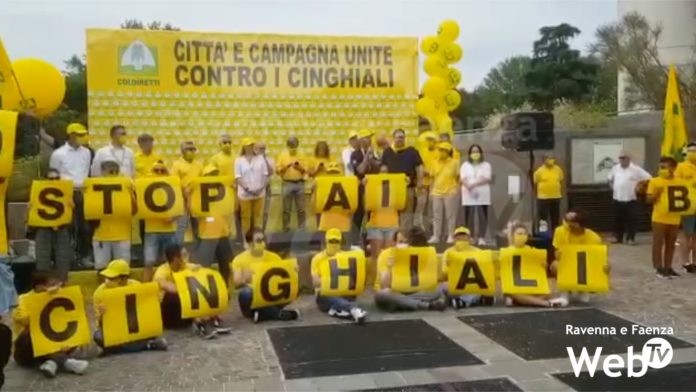 coldiretti cinghiali