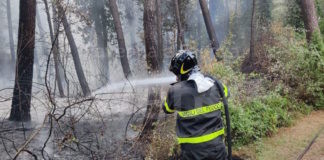 Incendi boschivi, prorogato fino al 29 agosto lo stato di “grave pericolosità”