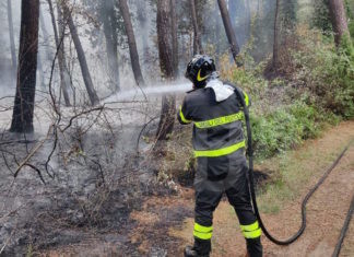 Incendi boschivi, prorogato fino al 29 agosto lo stato di “grave pericolosità”