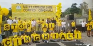 Danni causati da cinghiali, protesta di Coldiretti: l’associazione chiede l’attivazione del piano di controllo