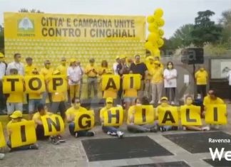 Danni causati da cinghiali, protesta di Coldiretti: l’associazione chiede l’attivazione del piano di controllo