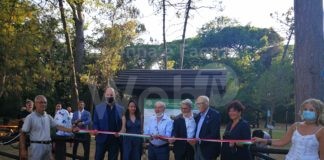 Con 5200 alberi rinasce la pineta di Milano Marittima