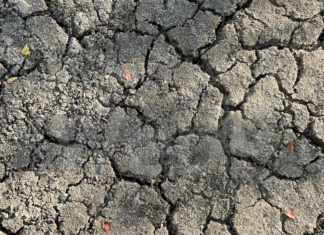 Siccità: prelievi di acqua dai fiumi per uso agricolo, l’assessore Priolo: “Eventuale sospensione da martedì 13 luglio”