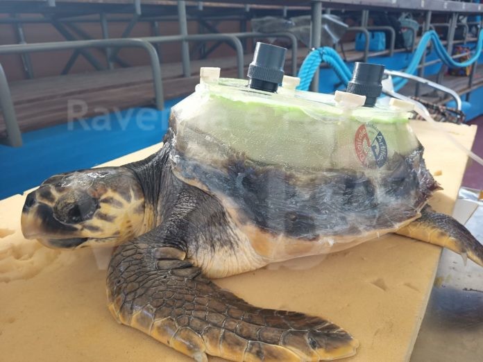 232471516_2933515873569740_8460261862239817263_n