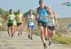 Ravenna Park Race: 5 settembre terza edizione del trail in natura