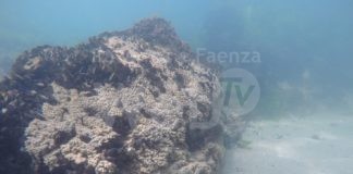 A Lido di Dante scoperte rare scogliere naturali