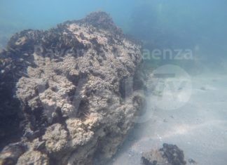 A Lido di Dante scoperte rare scogliere naturali