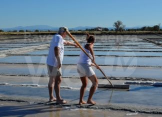 Cervia: alla salina Camillone insieme ai salinari