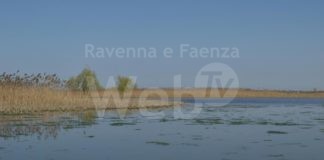 Prosciugata Valle Mandriole: “Per evitare una nuova intossicazione da botulino”