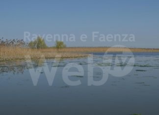 Prosciugata Valle Mandriole: “Per evitare una nuova intossicazione da botulino”