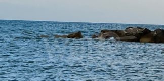 Testimoni di Geova, battesimi in mare per i nuovi credenti al congresso sulla fede del 2021