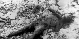 Venerdì Faenza ricorda Hiroshima e Nagasaki