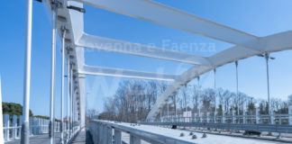 Enpa: “Rendere visibili le vetrate del ponte di Teodorico per la sicurezza degli uccelli”