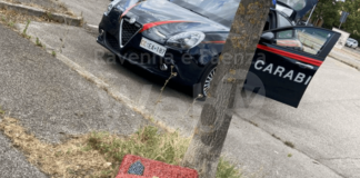 Ritrovati la valigia e la tazzina in mosaico parte dell’opera dedicata a Fabrizio Matteucci