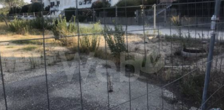 Ancisi (LpRa): “Via Giovan Battista Morgagni, indecenza e squallore nei pressi della Basilica di Classe”