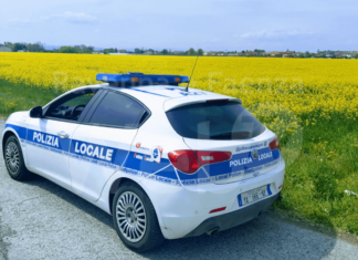 Fusignano: provoca un incidente e scappa, automobilista denunciato per omissione di soccorso