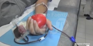 Carenza di sangue durante l’estate, l’appello di Avis: “Chi può vada a donare”