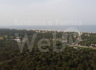 Le immagini del nuovo Parco Urbano di Milano Marittima proiettate all’ingresso della pineta