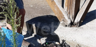 Valle Mandriole, La Pigna: “Perché è stato lasciato scendere il livello dell’acqua sotto la soglia di sicurezza ?”