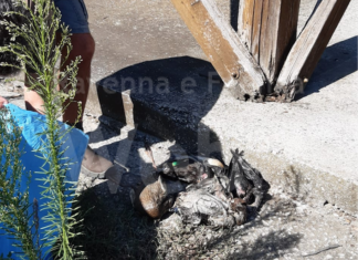 Valle Mandriole, La Pigna: “Perché è stato lasciato scendere il livello dell’acqua sotto la soglia di sicurezza ?”