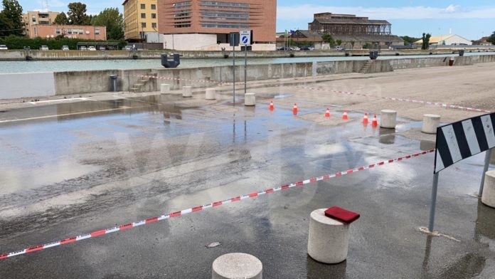 WhatsApp Image 2021-08-05 at 13.36.52