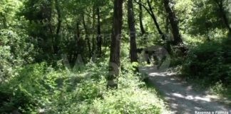 Turismo. Ecco il programma escursionistico del Parco della Vena del Gesso Romagnola