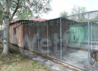 Enpa Ravenna: Agosto cane mio non ti conosco