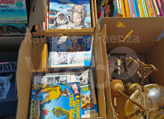 Appuntamento in Darsena domani con La Pulce d’Acqua