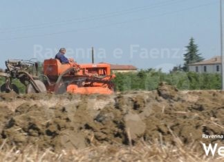 Viaggio nel passato: a Faenza al lavoro nei campi trattori dagli anni Cinquanta in poi