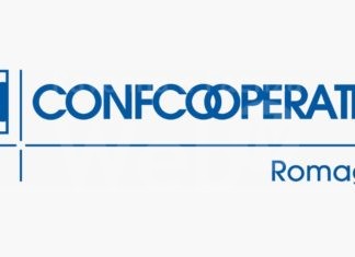 Viaggio fra i Giovani Cooperatori