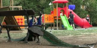 Parco Bucci: servirebbe un dipendente in pianta stabile e multe per chi non rispetta le regole