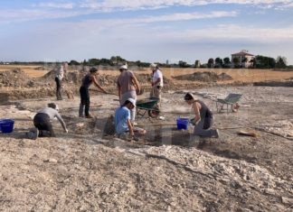 Visita guidata gratuita agli scavi archeologici sul sito di Cervia Vecchia