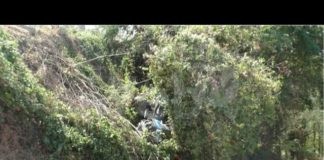 Trattore precipita nella scarpata: 35enne trasportato al Bufalini