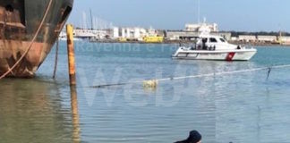 Italia Nostra: Basta pesca frodo molluschi, il Sindaco intervenga e il Prefetto non si giri dall’altra parte