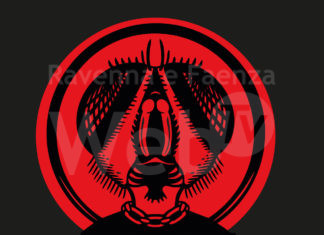 Al via Mercoledì 25 Agosto la settima edizione di Under Fest a Marina di Ravenna