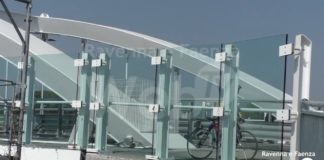 Ponte Teodorico, Enpa rinnova l’appello: “Vetrate pericolose per gli uccelli”